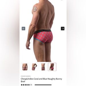 CheapUndies Coral and Blue Naughty Bunny Brief, Size XXL